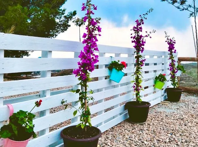 Tropical Dreams Motril