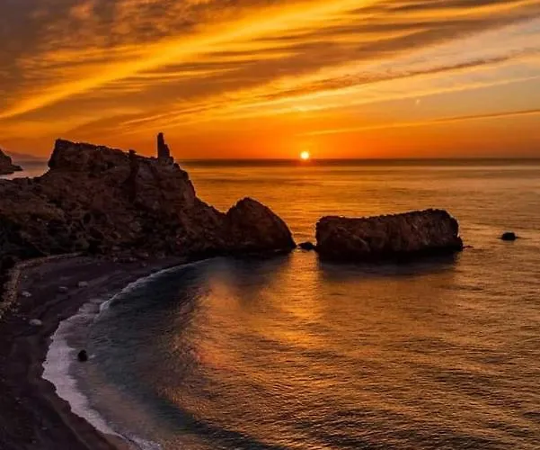 Tropical Dreams Motril