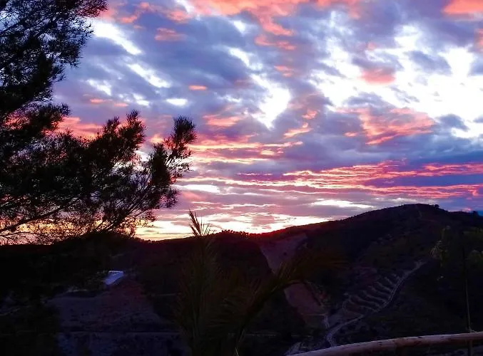 Tropical Dreams Motril