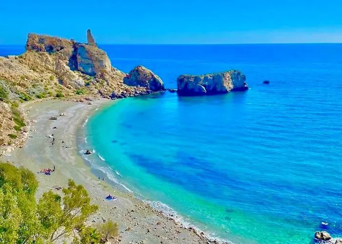 Tropical Dreams Motril