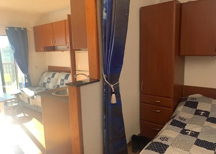 Appartement Vue Mer - Albatros