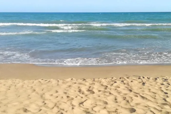 Arte y natura en la playa de Eucaliptus