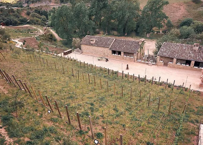 Eco Hotel Cueva del Gato