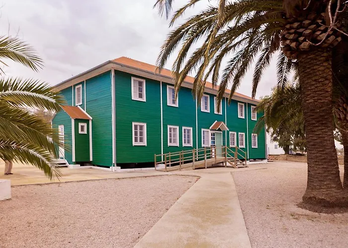 Salicornia apartament