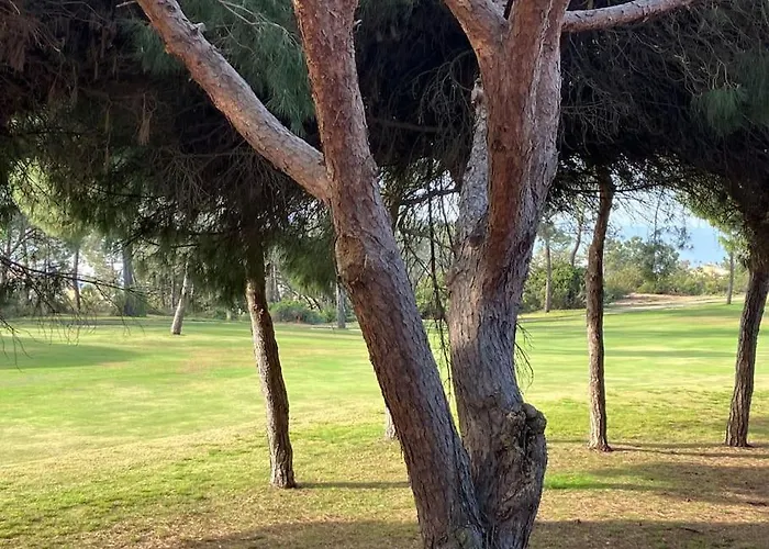 Playa Antilla Golf