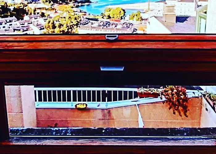 El Trastero De Palmero