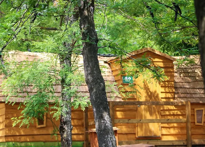 Camping Osuna