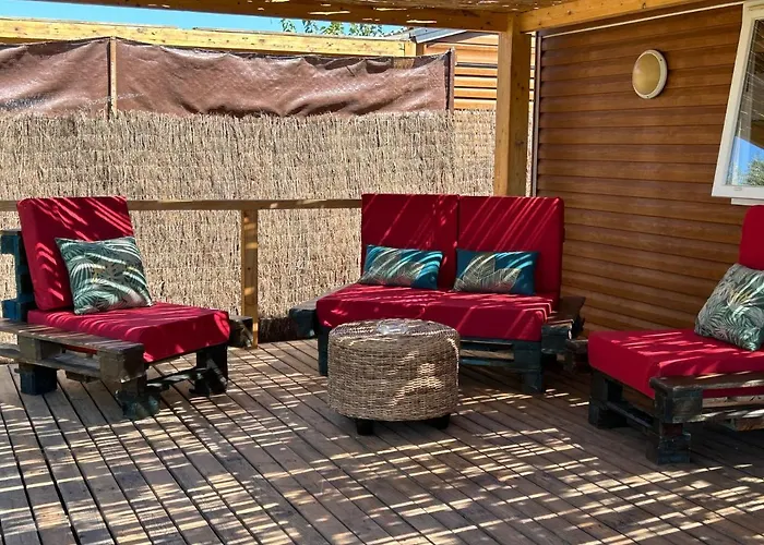 Ohana Palmar