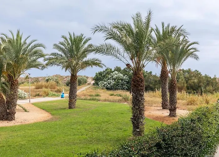 Orilla Del Mar