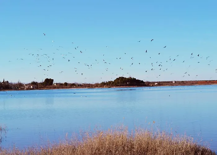 Albergue Los Patos