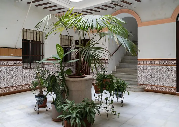 Aire del Sur Cádiz