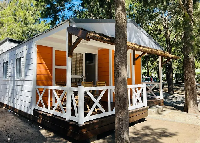 Camping Paloma