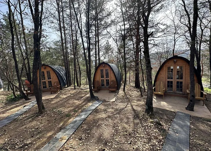 Camping Ripolles