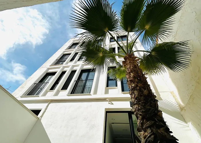STUDIO Palomar - PalomarGroup