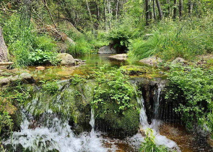 El Cervunal