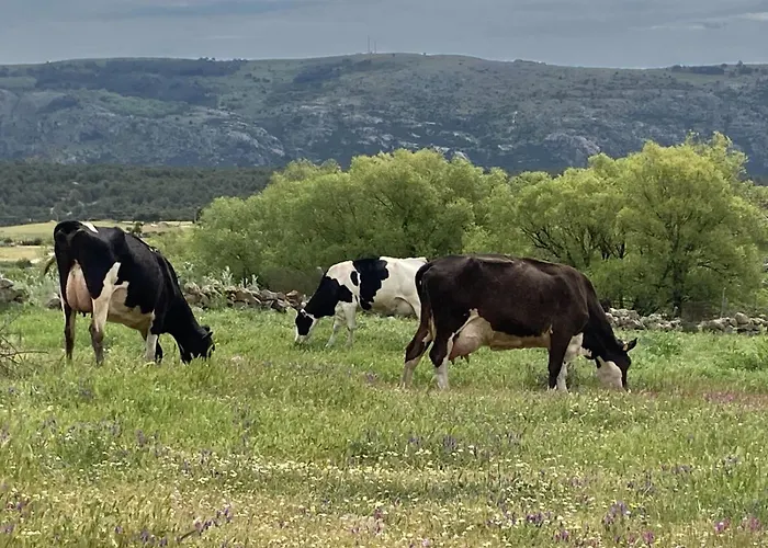 Casa rural Valtravieso