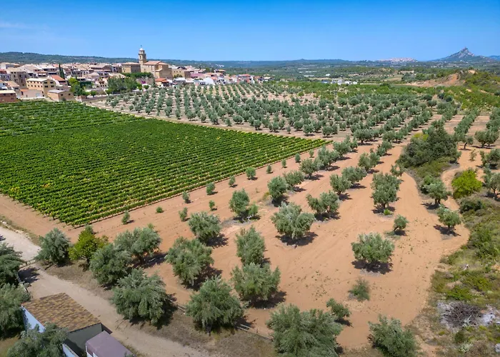 Villa Dynamic Els Ports Resort