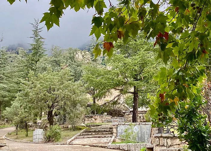 Cabañas Rústicas dentro de la Finca El Castillo