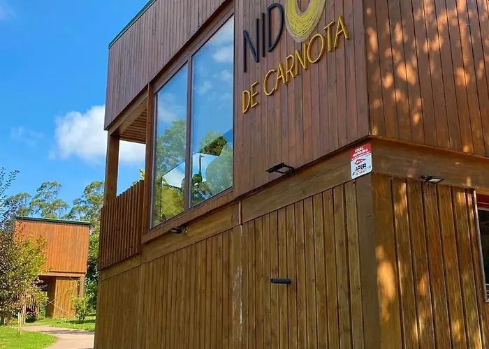 Nidos de carnota