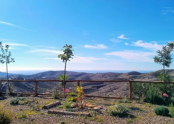 Tropical Dreams Motril