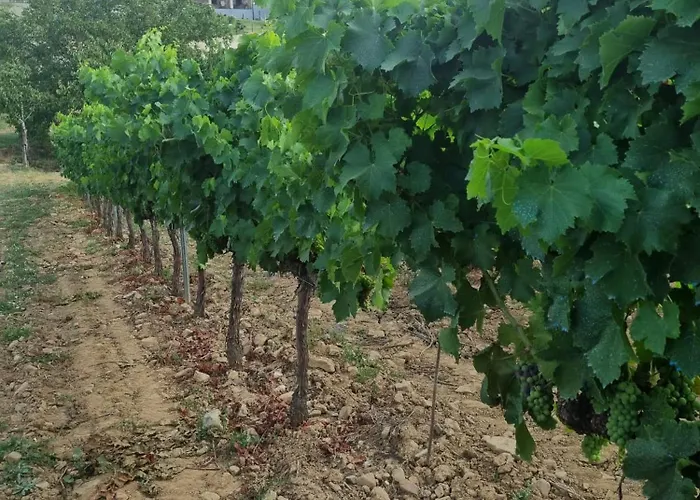 Boutique Finca esencial