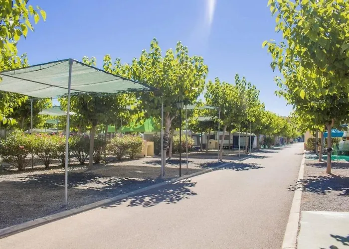 Camping Y Bungalows Monmar