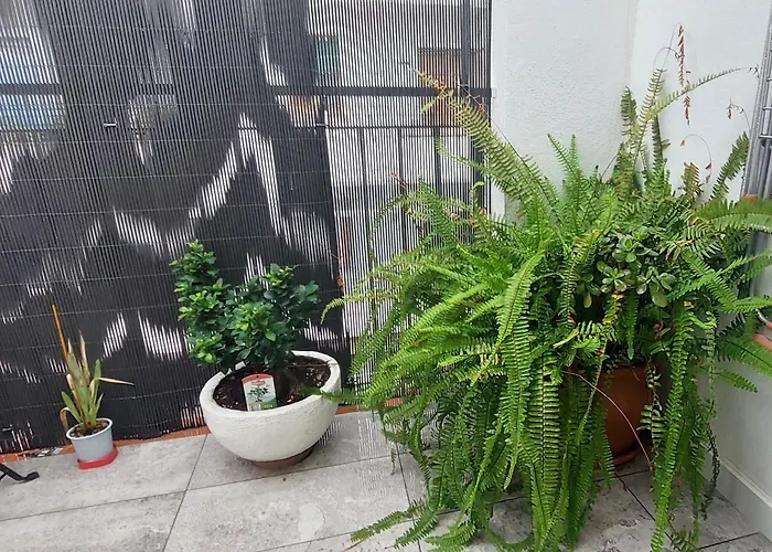Apartamento la Unión II , calidad y comodidad