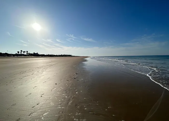Ohana Palmar