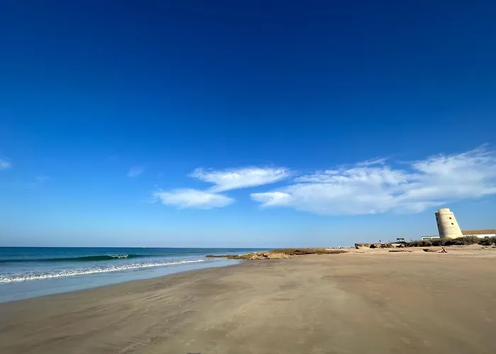 Ohana Palmar