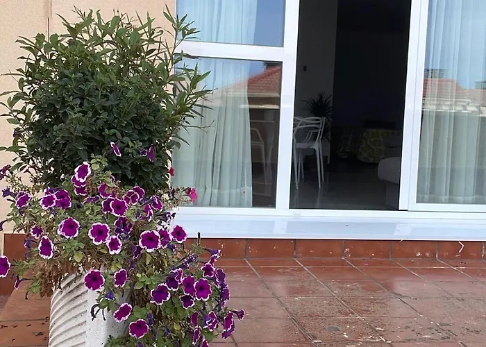 Aljama Burgos