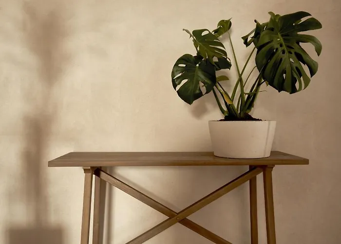 Casa Uva - Boutique Stay