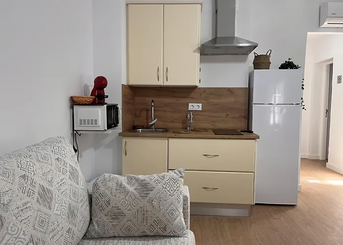 apartamentos Larios centro