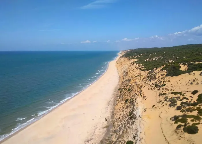 playa y naturaleza