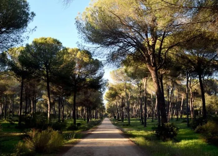 Suite en el corazón de Doñana