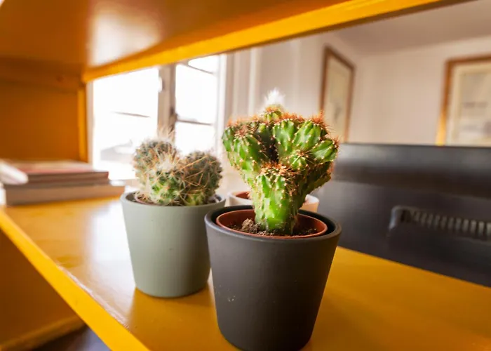 Duquesa Port Studio Apartment - Bright Sunlit Terrace