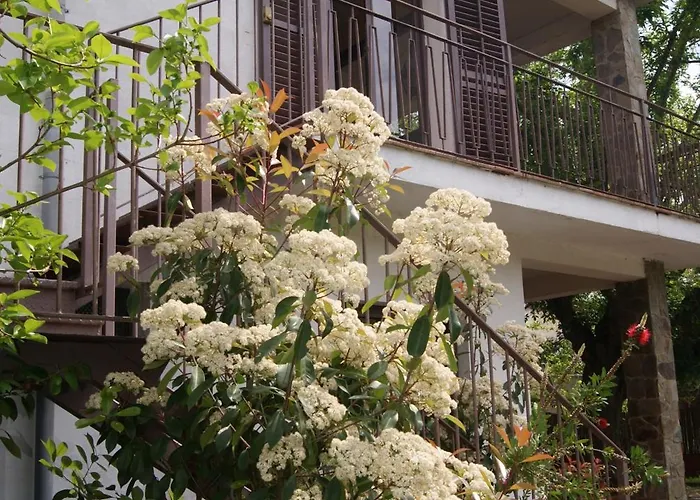 Apartamento con encanto l'Estany 2