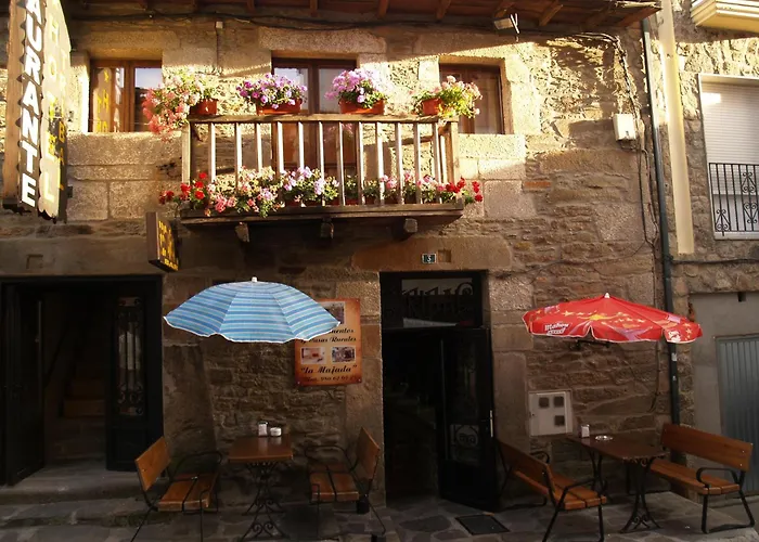 Hostal Tribal