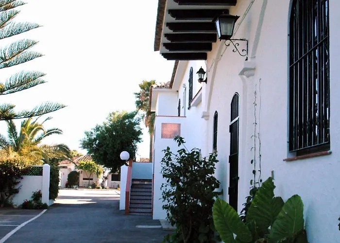 La Codorniz