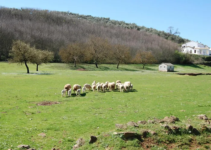 Los Pozos de la Nieve