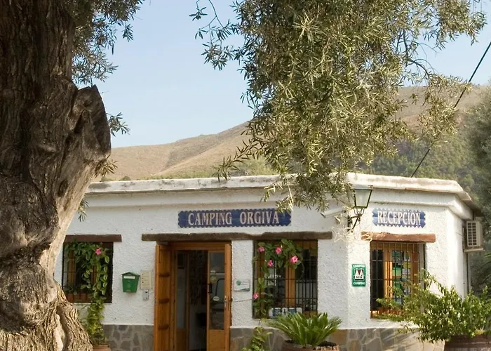 Camping Orgiva