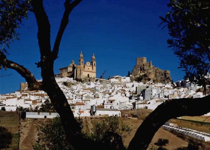 Complejo Pueblo Blanco