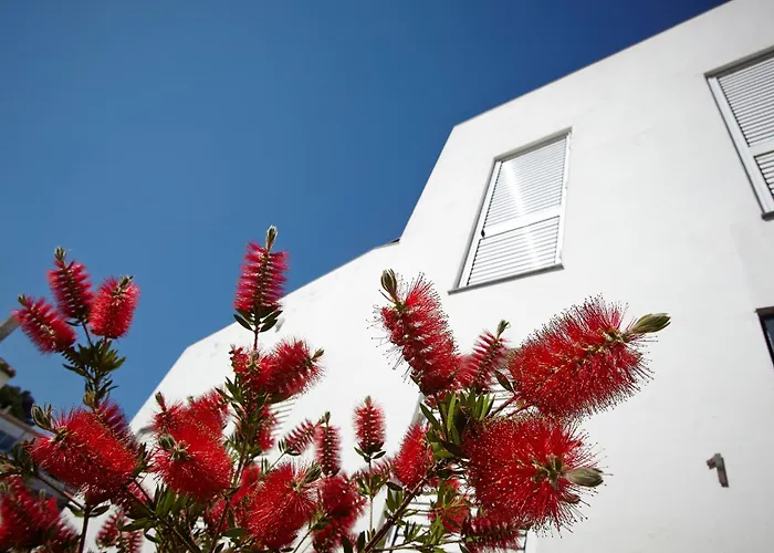 Gaia Apartments&Lofts Cadaqués