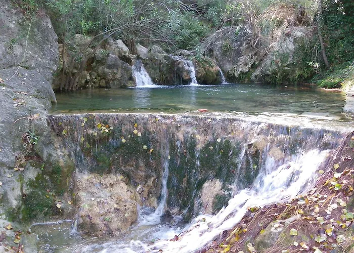 Oasis Country Park