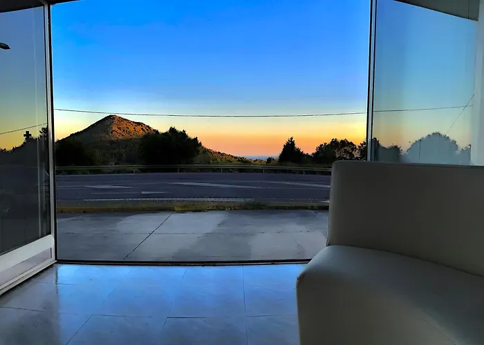 Area Surf House