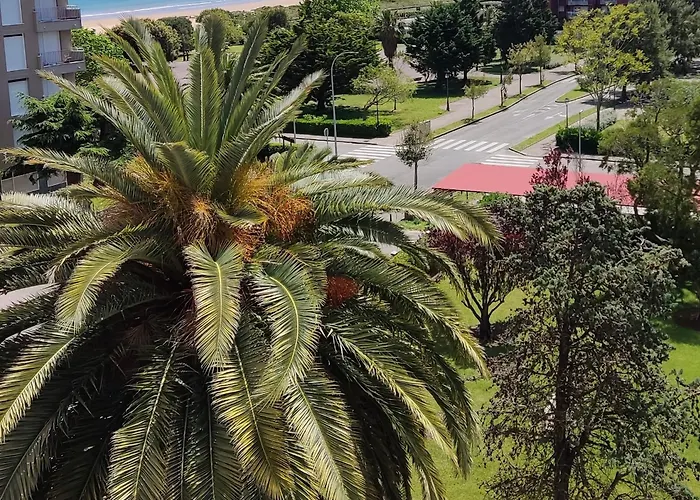 Katt y el mar