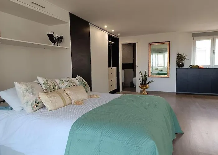 Spacious Studio By The University