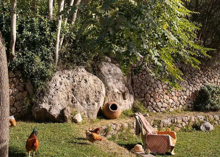 Agroturismo Son Viscos
