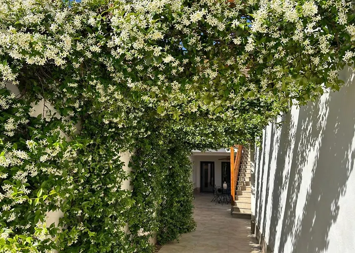El Patio de los Jazmines
