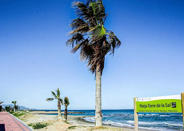 Gorgeous Apartment In Cabanes With House Sea View