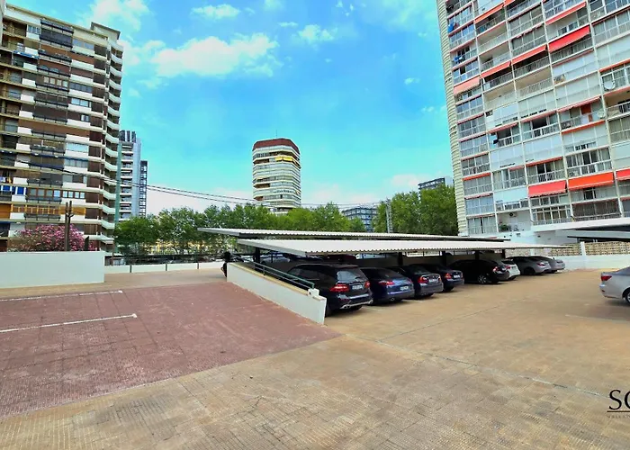 Primera Linea De Playa- First Line Beach